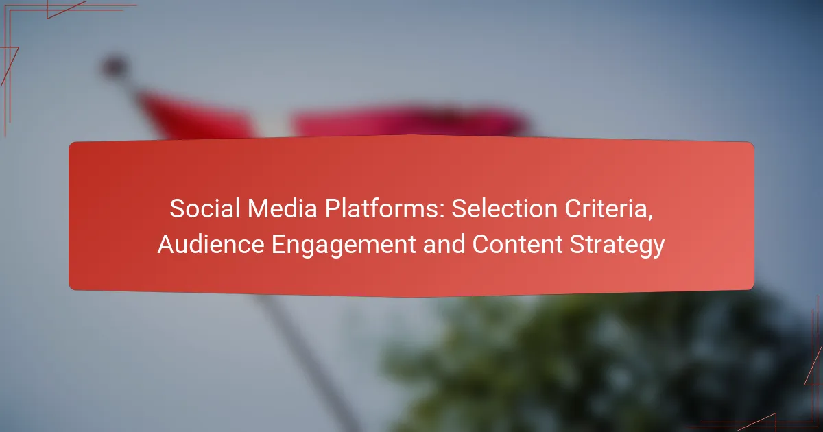 Social Media Platforms: Selection Criteria, Audience Engagement and Content Strategy