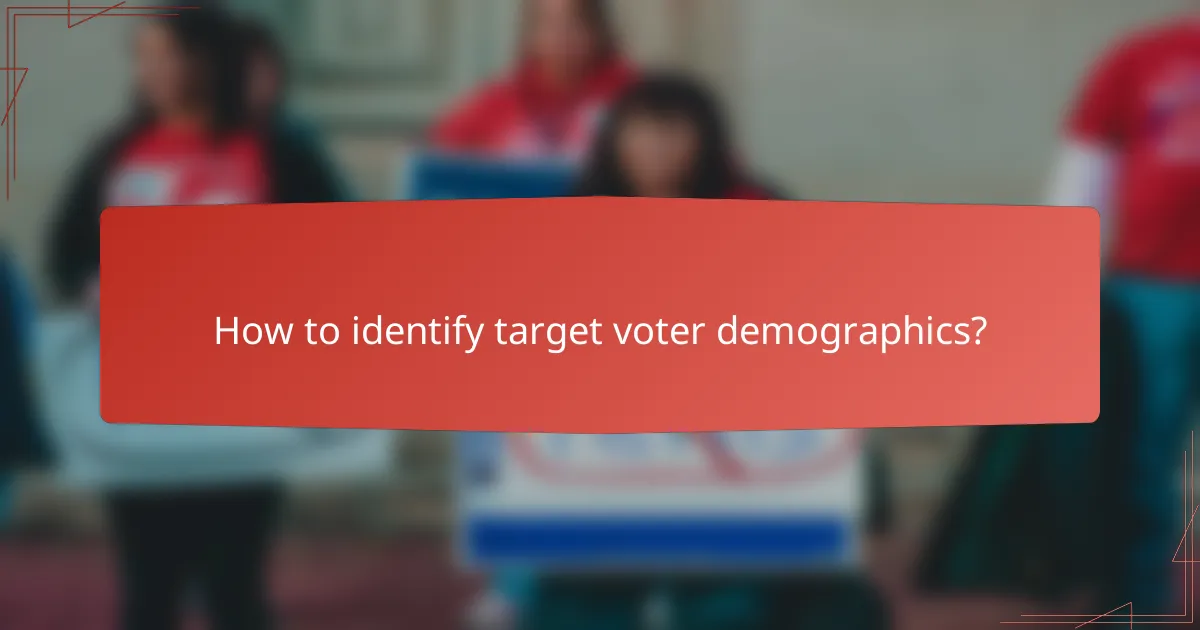 How to identify target voter demographics?