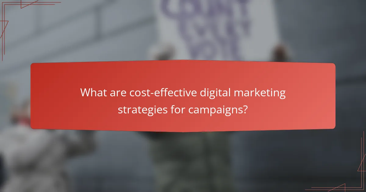 What are cost-effective digital marketing strategies for campaigns?