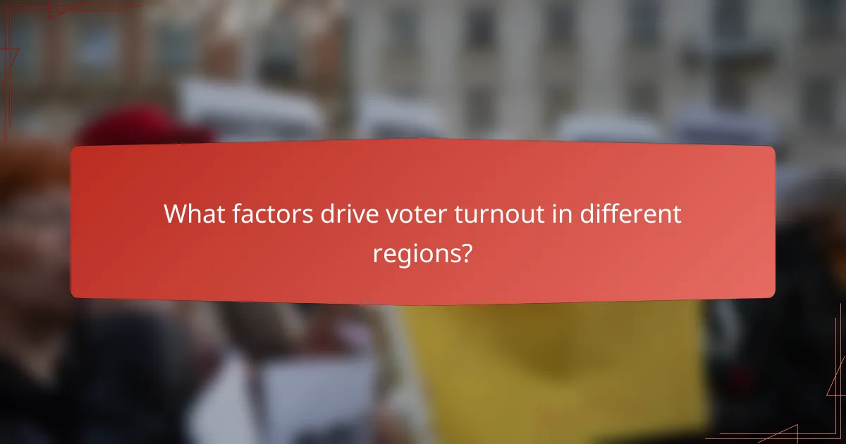What factors drive voter turnout in different regions?